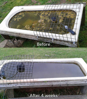 Splosht Water Trough Pack Before After