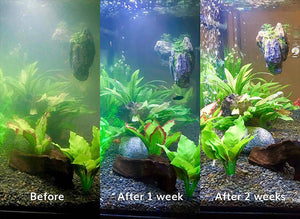 Splosht Aquarium Pack Before After