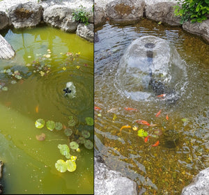 Large Fishpond/Water Feature Pack